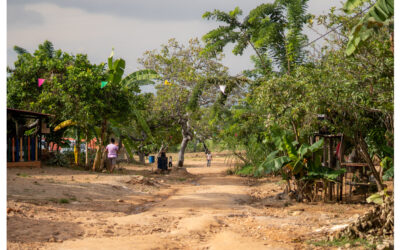 ‘Comunidades, bosques y biodiversidad en la Amazonía colombiana’, un documental imperdible para los activistas ambientales