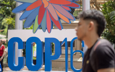 El llamado del Pacífico en la COP16: Un compromiso por el respeto a la riqueza biocultural y la supervivencia de los pueblos.