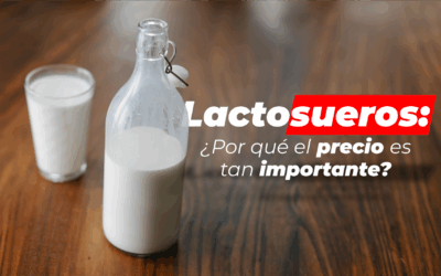 Leche barata: ¿qué precio estamos dispuestos a pagar a costa de nuestra salud?
