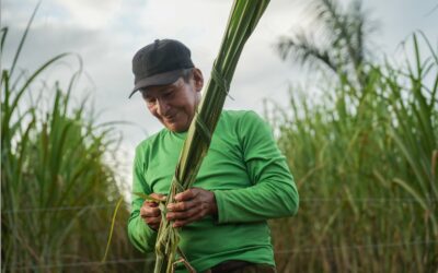Del petróleo a la transición: Colombia reúne al mundo en una conferencia histórica por un futuro sin fósiles