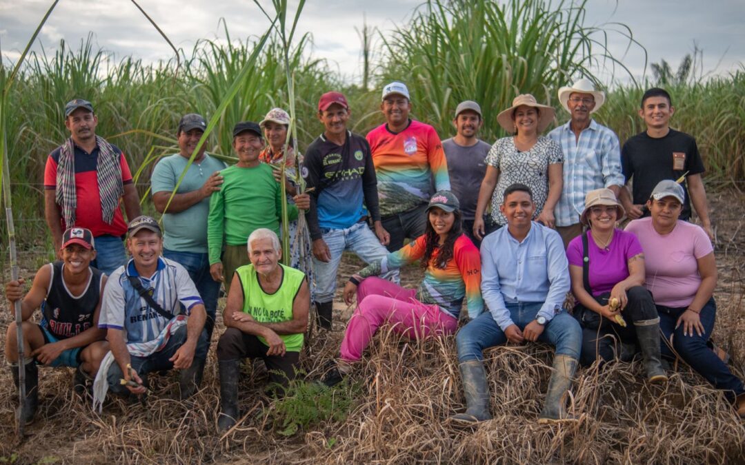 Sector azucarero: campesinos encuentran en la miel de caña una alternativa para conservar el bosque