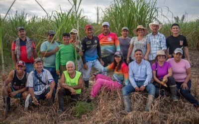 Sector azucarero: campesinos encuentran en la miel de caña una alternativa para conservar el bosque